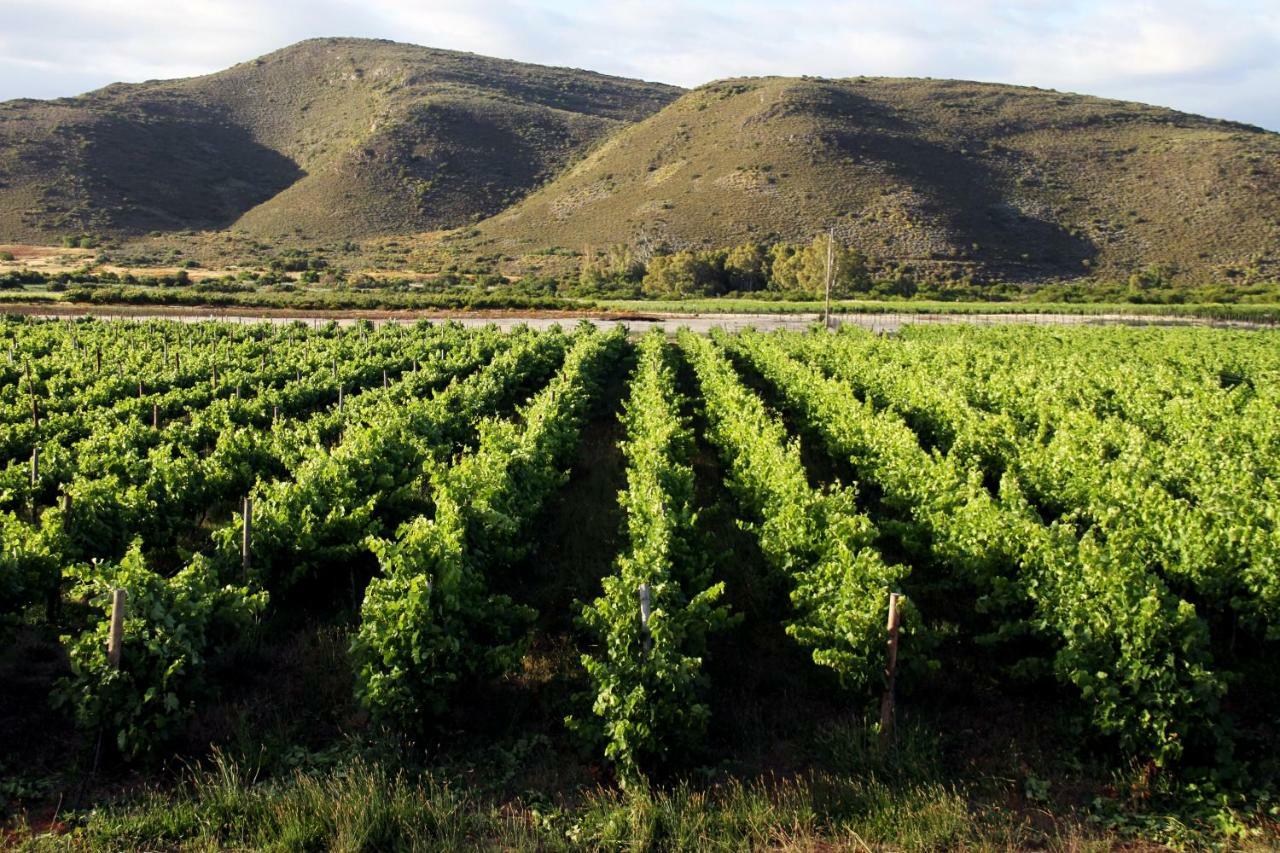 Tanagra Wine & Guestfarm Apartment McGregor Ngoại thất bức ảnh